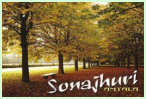 Sonajhuri